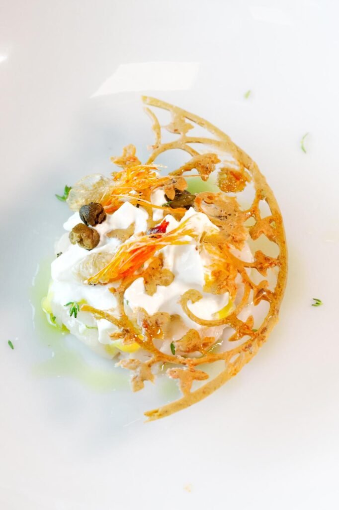 WhatsApp Image 2026-02-05 at 10.13.12 (1)